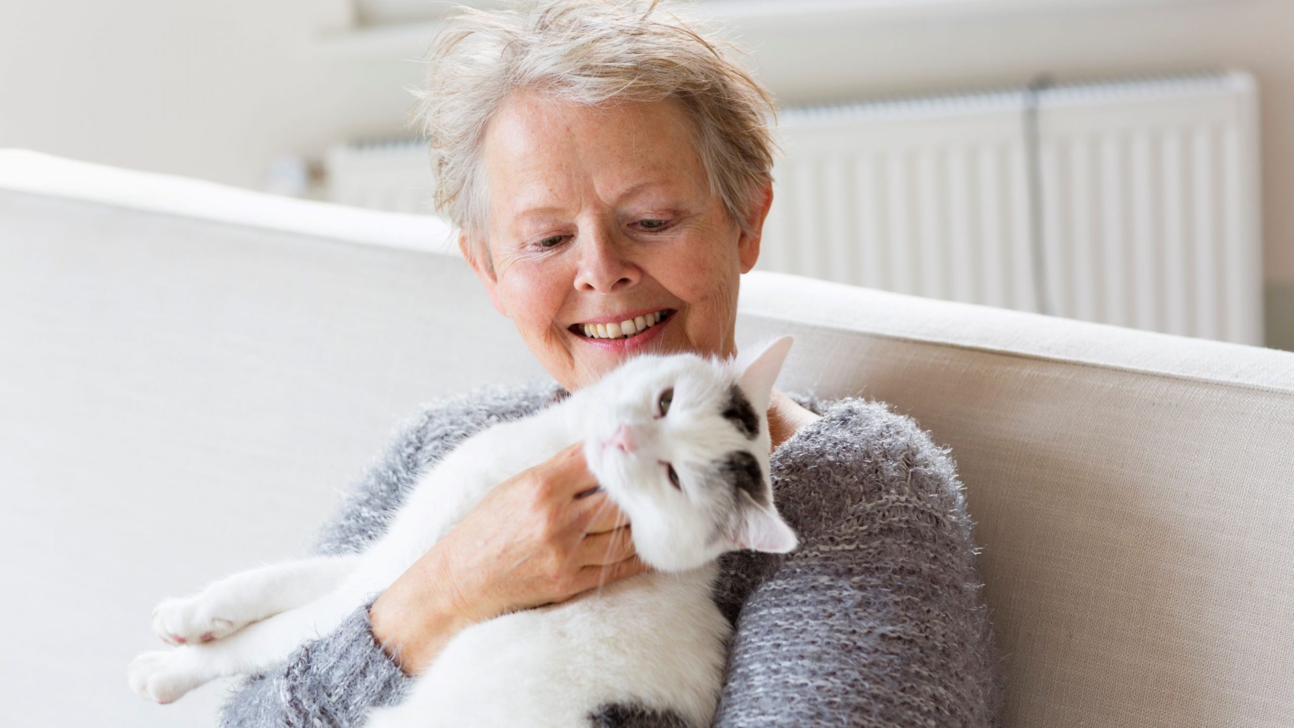 Forstår du din kat? Få ekspertens 5 tips katte - SeniorNews.dk