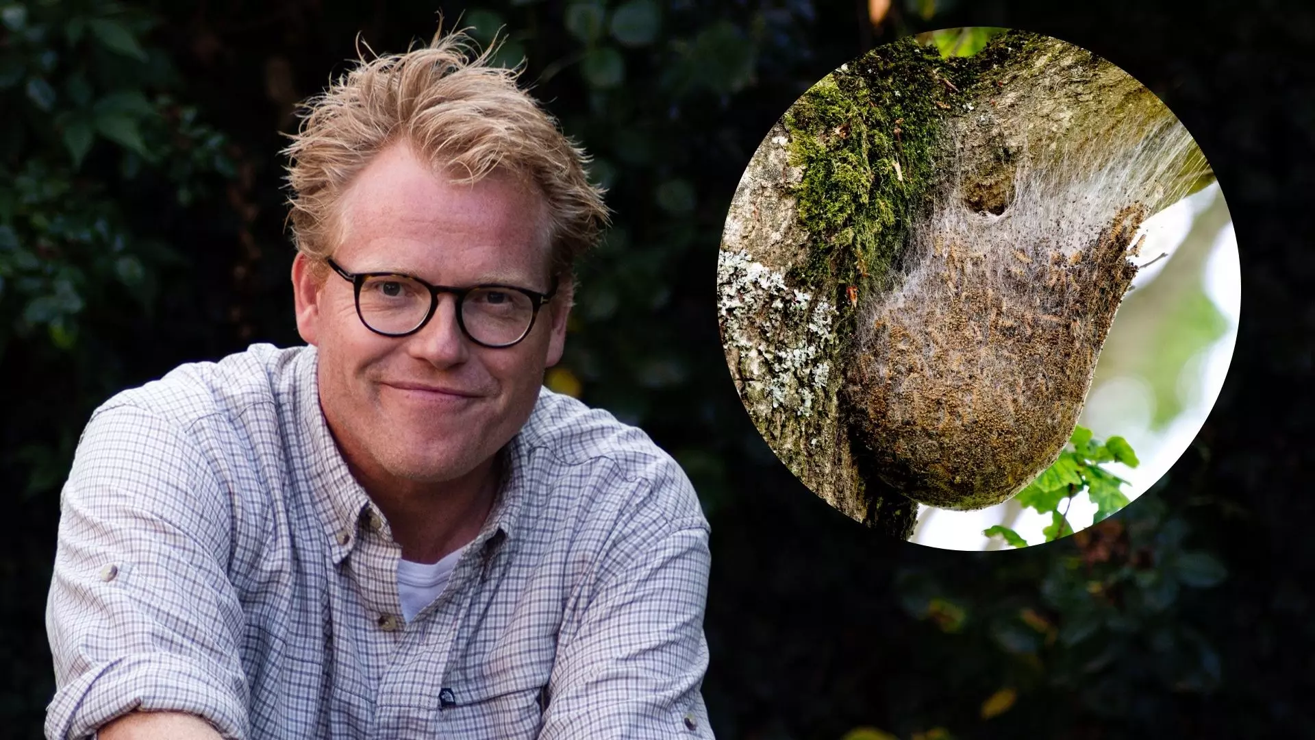 Sebastian Klein og larven fra helvede