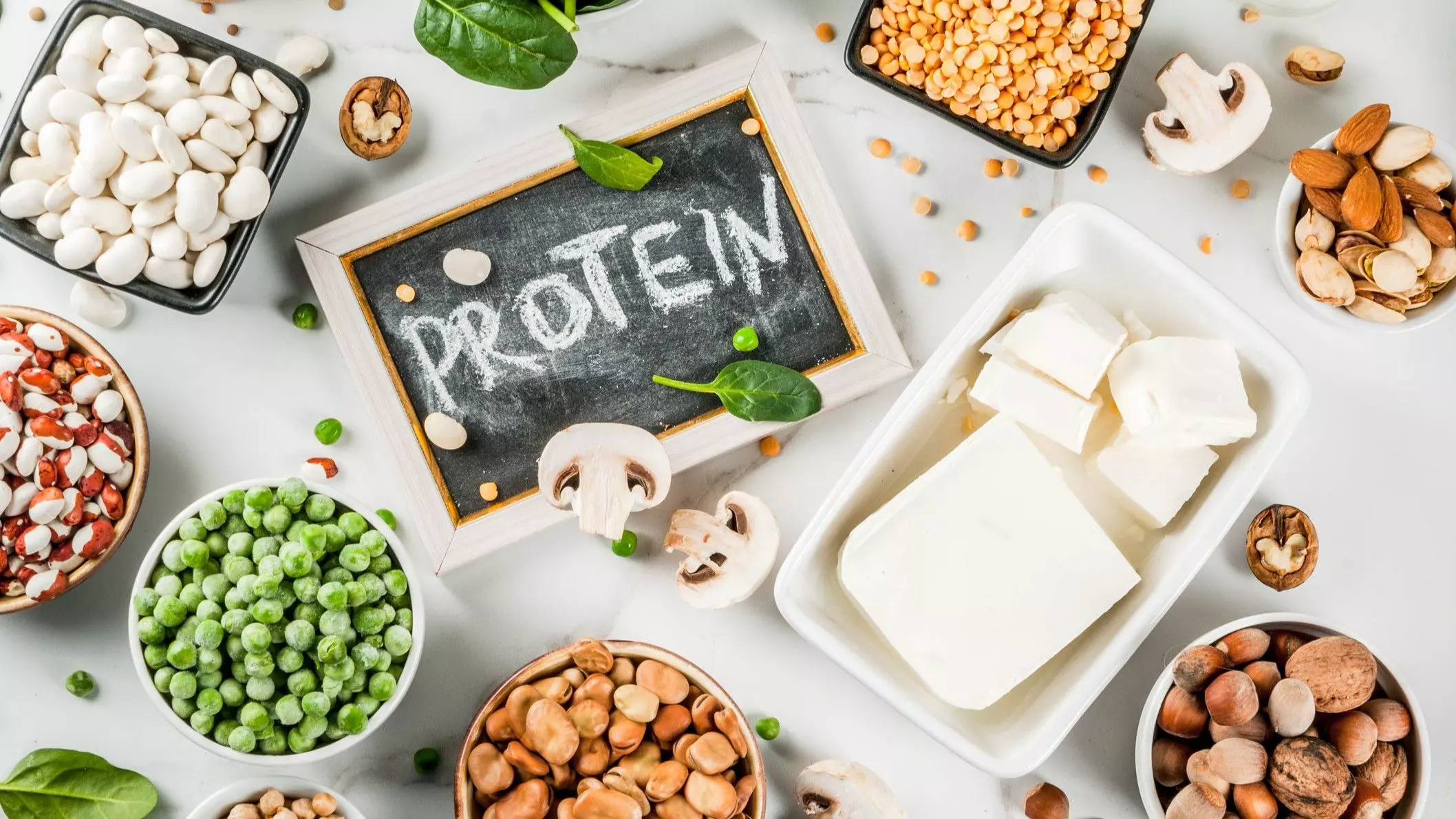 Protein